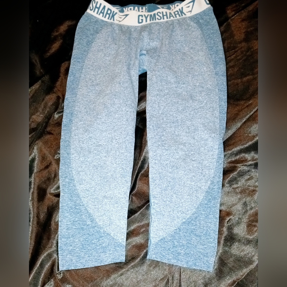 Gymshark Teal Performance Leggings